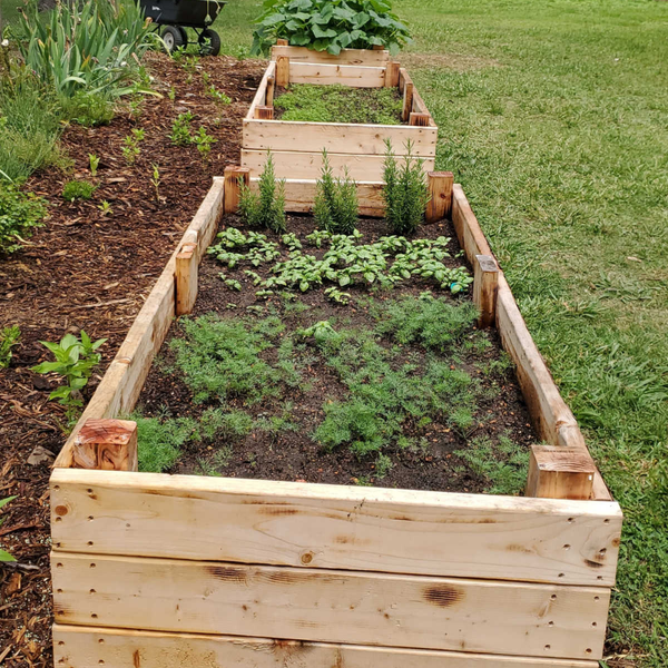 Raised Garden Beds & Greenhouses