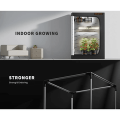 Spider Farmer 2' x 4' x 5' (60 x 120 x 150 cm) Indoor Grow Tent