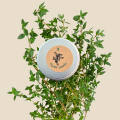 Organic Thyme Seeds