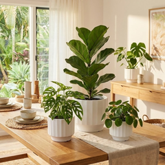 3-Piece White Stoneware Planter Set with Fluted Design