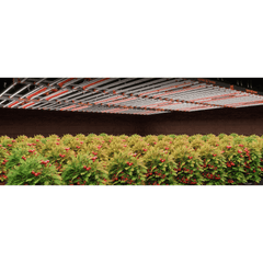 Spider Farmer GlowR80 80W 660nm Supplemental Deep Red LED Grow Light