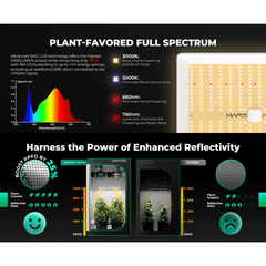 Mars Hydro TS 1000 LED Grow Light + 2.3' x 2.3' Grow Tent + Inline Fan Combo with Speed Controller