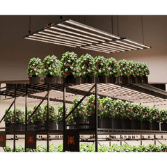 Spider Farmer G1000W 1000W Dimmable Full Spectrum CO2 LED Grow Light
