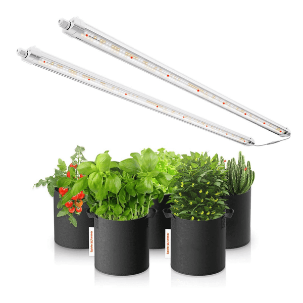 Spider Farmer Glow80 80W Full Spectrum LED Grow Light