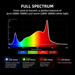 Spider Farmer G5000 LED Grow Light + 4' x 4' Grow Tent + 6" Inline Fan Combo with Temperature and Humidity Controller + 6" Clip Fan