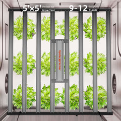 Spider Farmer G1000W x 2 LED Grow Lights + 5' x 10' Grow Tent + 6" Inline Fan Combo with Temperature and Humidity Controller + 6" Clip Fan