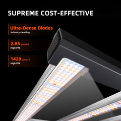 Spider Farmer G5000 x 2 LED Grow Lights + 4' x 8' Grow Tent + 6" Inline Fan Combo with Temperature and Humidity Controller + 6" Clip Fan