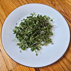 Broccoli