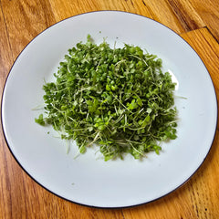 Basil (Lemon)