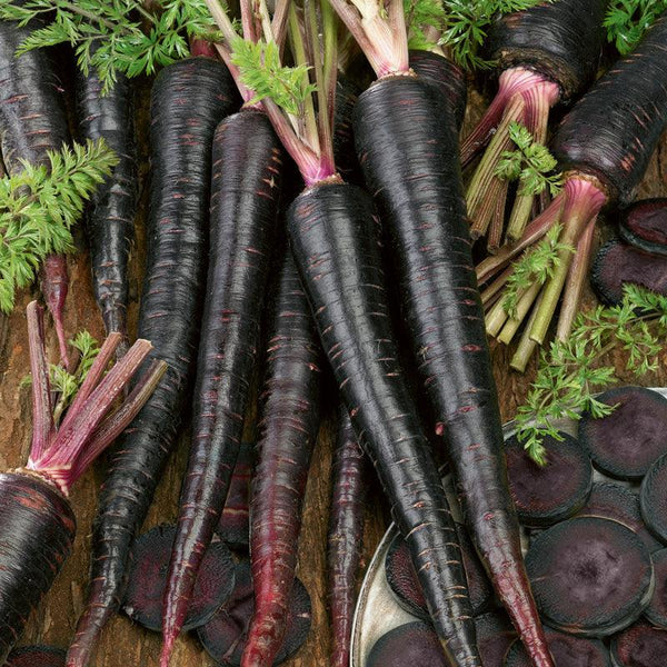 Black Nebula Carrot Seeds (Organic)