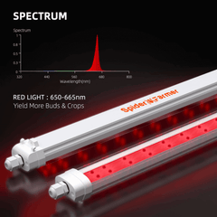 Spider Farmer GlowR80 80W 660nm Supplemental Deep Red LED Grow Light