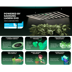 Mars Hydro FC1200W-EVO 1200W Smart Grow System Samsung LM301H LED Grow Light