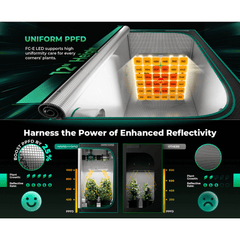 Mars Hydro FC-E3000 LED Grow Light + 3' x 3' Grow Tent + iFresh Inline Fan Combo with Temperature and Humidity Controller