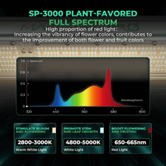 Mars Hydro SP 3000 300W Full Spectrum Grow Room LED Grow Light