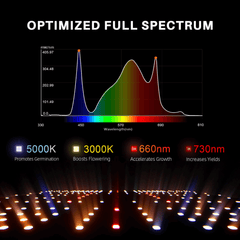 Spider Farmer SF4000 LED Grow Light + 4' x 4' Grow Tent + Inline Fan Combo with Speed Controller