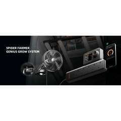 Spider Farmer 6" Clip Fan, 10-Speed with Wide-Angle Oscillation - Pack of 2