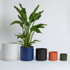 15 Inch - Solid Goods - Ceramic Cylinder with Saucer - SHIPPER