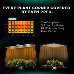 Mars Hydro FC4000-EVO 320W Smart Grow System Samsung LM301H LED Grow Light