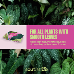 Houseplant Cleaning Wipes