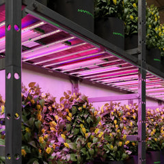 Mars Hydro ADLite UV 15W + IR 8W Supplemental LED Grow Light Bars Combo - Set of 2