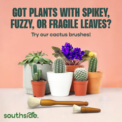 Houseplant Cleaning Wipes