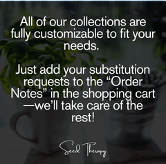 Elderberry Seed Collection (American Black • Red • Blue)