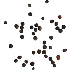 Marathon Hybrid Broccoli Seeds