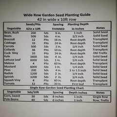 Green Magic Broccoli Seeds