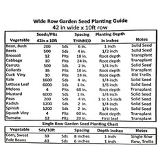 Ruby Crush Hybrid Grape Tomato Seeds
