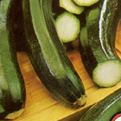 SQUASH Seeds, Black Beauty