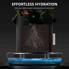 Spider Farmer 4 Self-watering System Kits