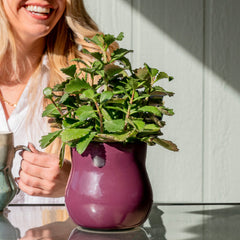 Ceramic Plant Pot with Rubber Liner - Violet Purple