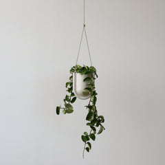 Portico Planter