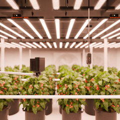 Spider Farmer Genius Grow System SensorPro Kits with CO2 Sensor and PAR Meter