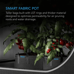 AC Infinity Heavy Duty Fabric Pots,  1 Gallon, 5-Pack
