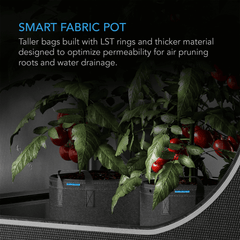 AC Infinity Heavy Duty Fabric Pots,  10 Gallon, 5-Pack
