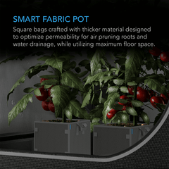 AC Infinity Heavy Duty Square Fabric Pots,  7 Gallon, 5-Pack