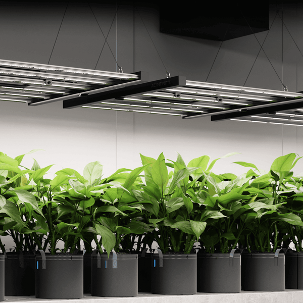 AC Infinity IONFRAME EVO10 1000W Samsung LM301H EVO Commercial LED Grow Light 5 x 5 Ft