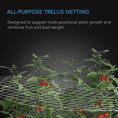 AC Infinity Polyester Plant Trellis Netting, 5x30'
