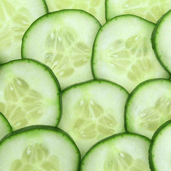 Ashley Cucumber – 30 Seeds