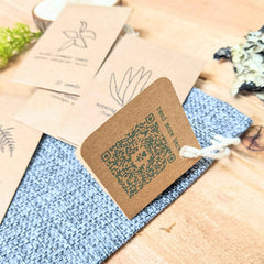 "Asparagus Fern" Houseplant Seed Collection