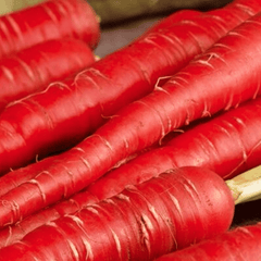Atomic Red Carrot – 250 Seeds