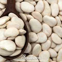 King of the Garden Lima Bean (Pole) – 15 Seeds