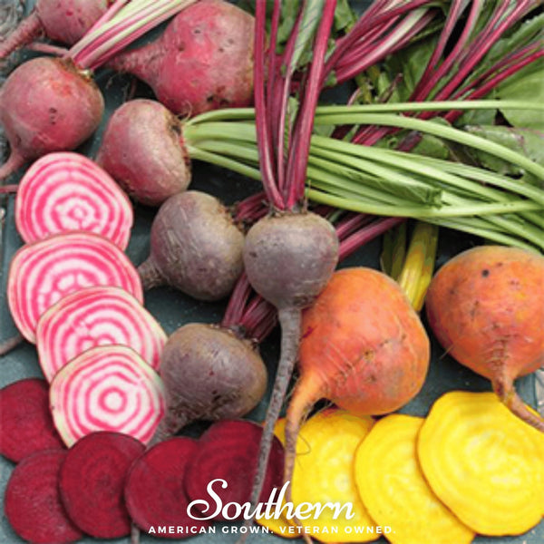 Gourmet Blend Beet – 50 Seeds