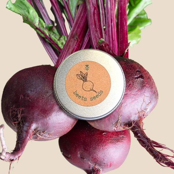 Organic Beet Seeds