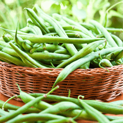 Blue Lake Bean (Pole) – 50 Seeds