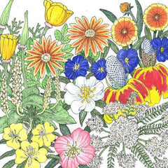 California Perennial Wildflower Mix (lb)