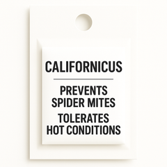 Neoseiulus californicus Prevention Sachets