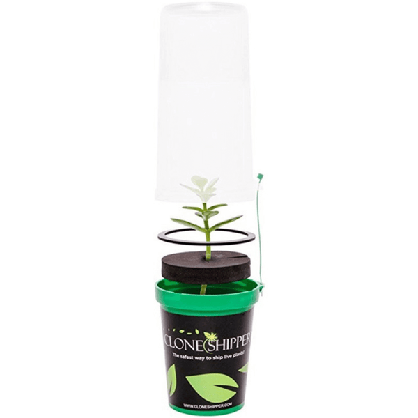 Clone Shipper Plant Packaging