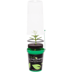 Clone Shipper Plant Packaging